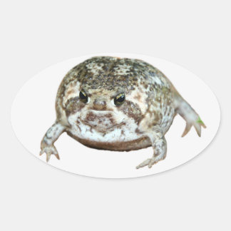 Flog Oval Sticker