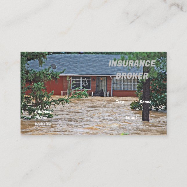 Flood Damage  Business Card (Front)