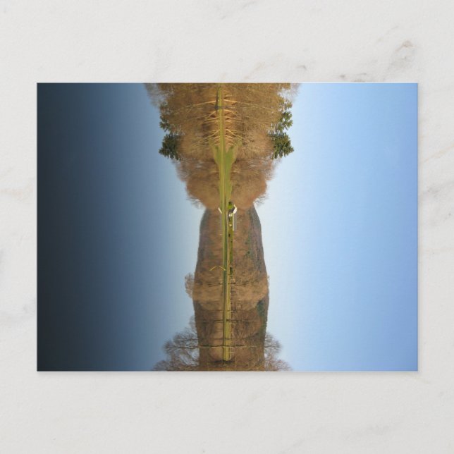 Flooded Golf Course Postcard (Front)