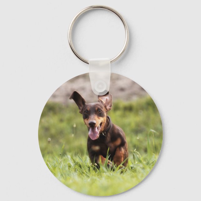 Floppy Dachshund Keychain (Front)