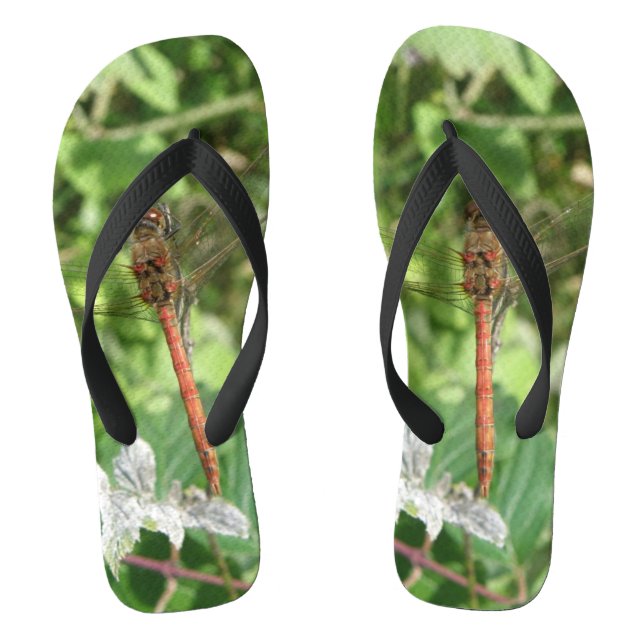 Flops à tongs de libellules de dard commun (Semelle)