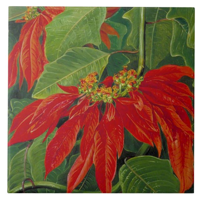 Flor de Pascua or Easter Flower, famous painting, Tile (Front)