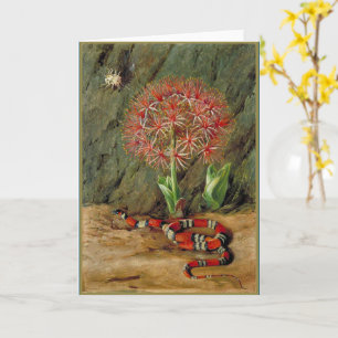 Flor Imperiale Coral Snake and Spider Card