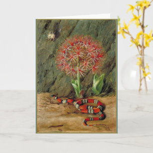 Flor Imperiale Coral Snake and Spider Card