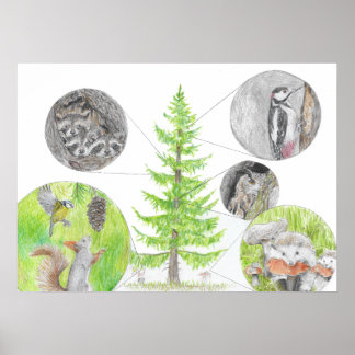 Flora and Fauna Poster