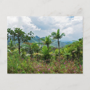 Flora and landscape of luquillo mountains postcard