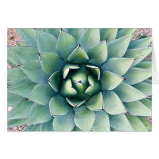 Flora at City of Rocks in Deming, NM