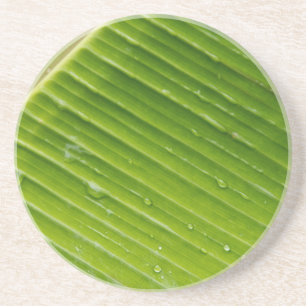 Flora Dominica 1 Coaster