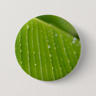 Flora Dominica 2 Inch Round Button