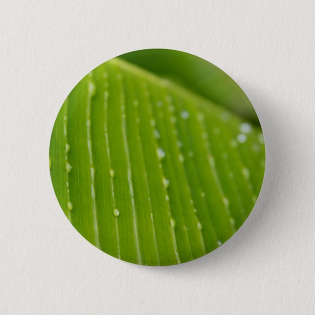 Flora Dominica 2 Inch Round Button (Front)