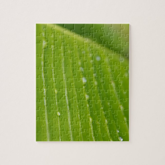Flora Dominica 2 Jigsaw Puzzle (Vertical)