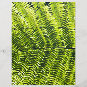 Flora Dominica 5