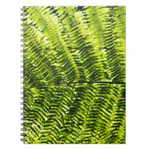 Flora Dominica 5 Notebook
