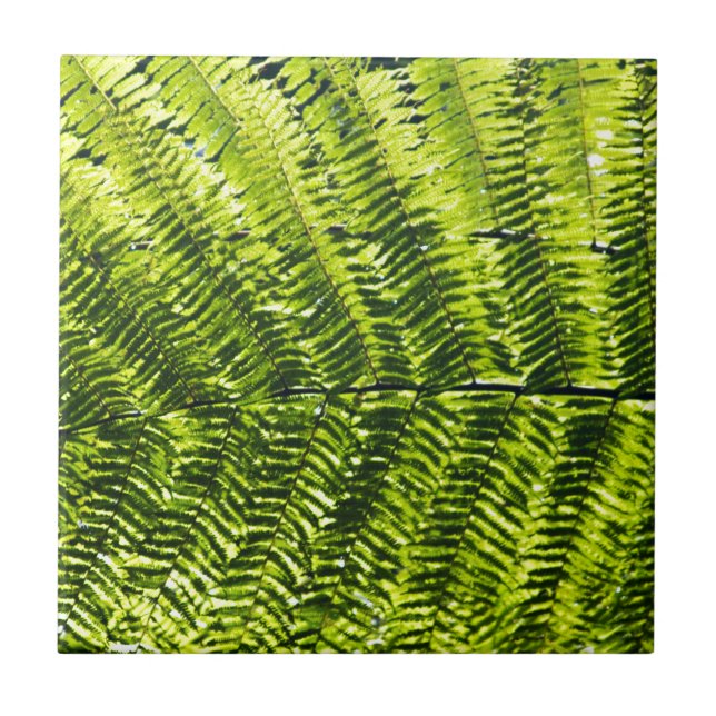 Flora Dominica 5 Tile (Front)