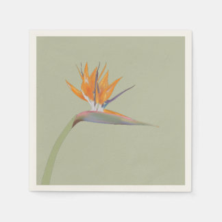 Flora I: Bird of Paradise - Paper Napkin