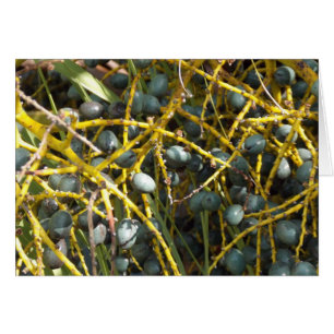 Flora in Figi
