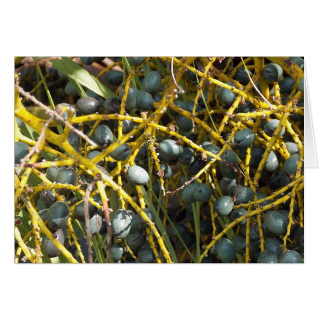 Flora in Figi (Front Horizontal)