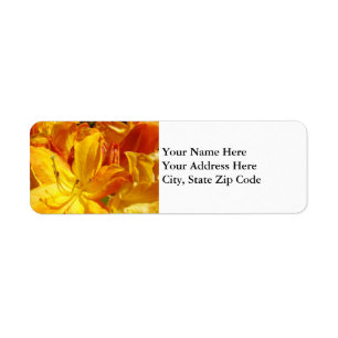 Floral Address Labels Orange Rhododendron Flowers