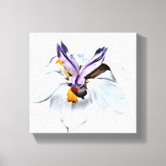 Floral African Iris Canvas Print