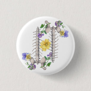 Floral Anatomy - Vertebrae, Hip Bone 1 Inch Round Button