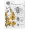 Floral Bee Collage