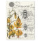 Floral Bee Collage