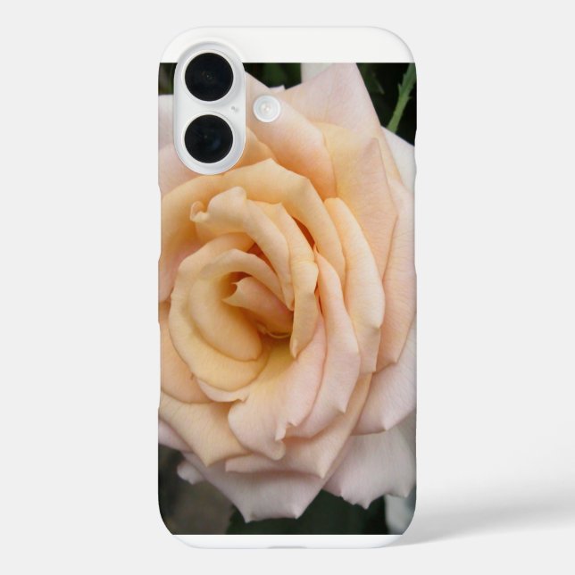 Floral Blackberry audacieux coque avec Rose romant (Verso)