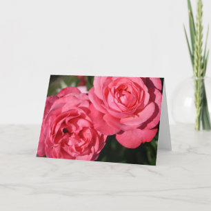 Floral Blanc À L'Intérieur De Joli Rose Élégant Pl