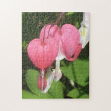 Floral Bleeding Heart Photo Puzzle & Boîte Cadeau