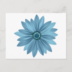 Floral Blue Daisy Flower  Daisies Postcard