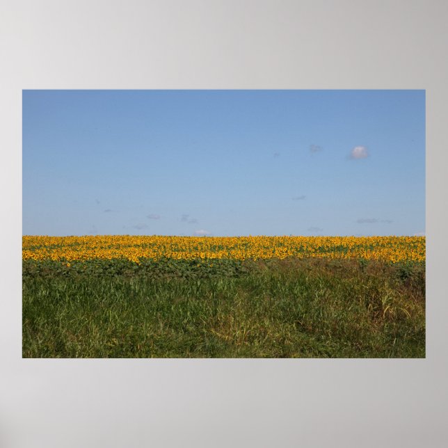 Floral Blur Poster (Front)