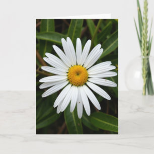 Floral Burst Mothers Day Card