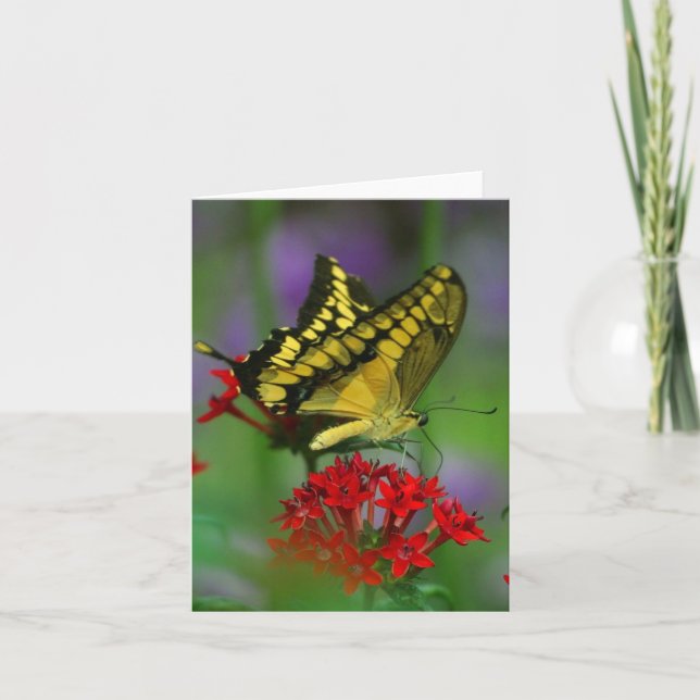Floral Butterfly Card (Front)