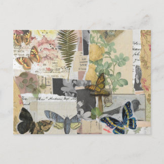 Floral Butterfly Vintage Ephemera Decoupage Postcard