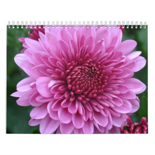 Floral Calendar