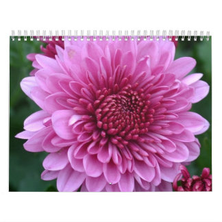 Floral Calendar