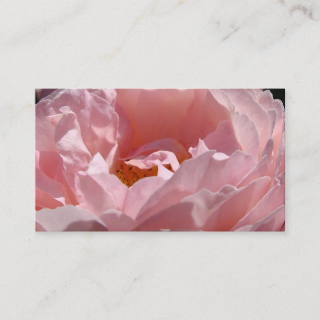 Floral Carte de visite Rose Rose (Devant)