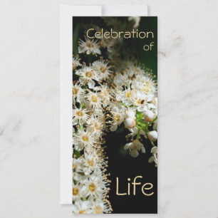 Floral Celebration of Life 2 Invitation
