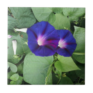 Floral Ceramic Tile