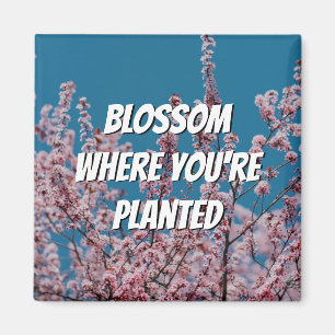 Floral Cherry BLOSSOM WHERE YOU'RE PLANTED Magnet