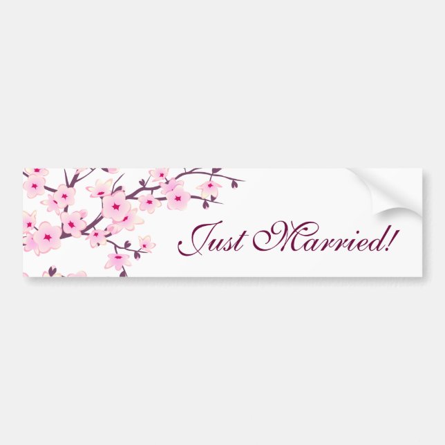Floral Cherry Blossoms Pink White Newlyweds Bumper Sticker (Front)