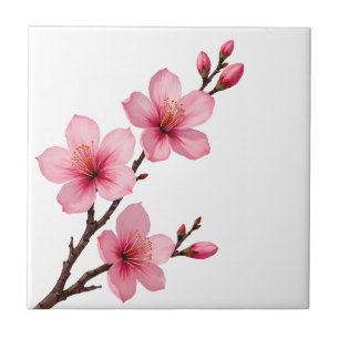 Floral Cherry Blossoms (Sakura) Pink White Tile