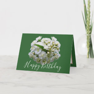 Floral Chic Bouquet White Spirea Floral Birthday Card