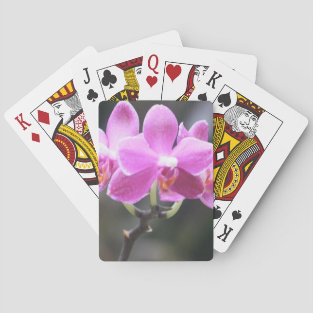 Floral collection playing cards (Back)