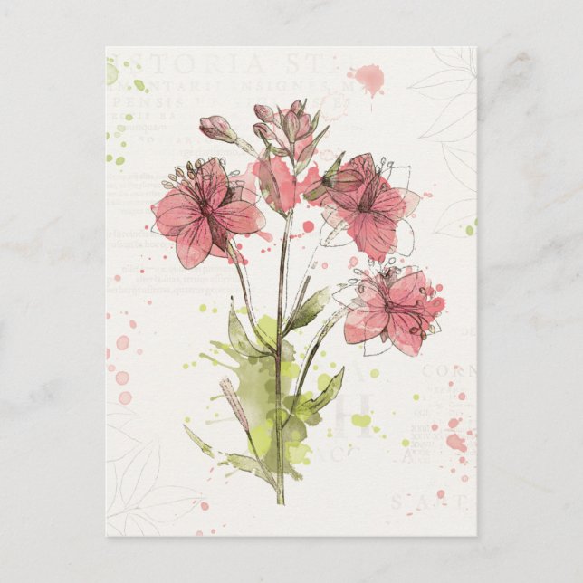 Floral Dark Pink Splash Postcard (Front)