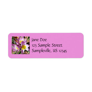Floral de Pink