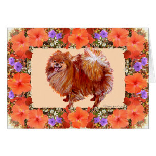 Floral de Poméranie