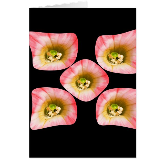 Floral Delight (Front)