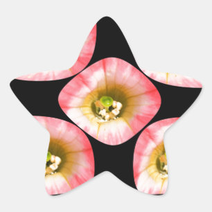 Floral Delight Star Sticker