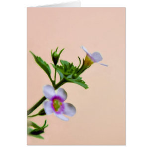 Floral Design On Pink